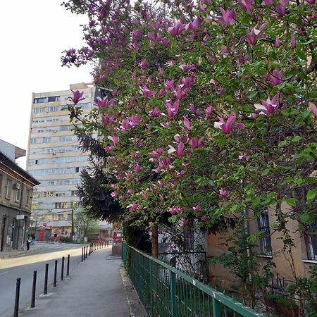Hansa Apartment Sarajevo Esterno foto